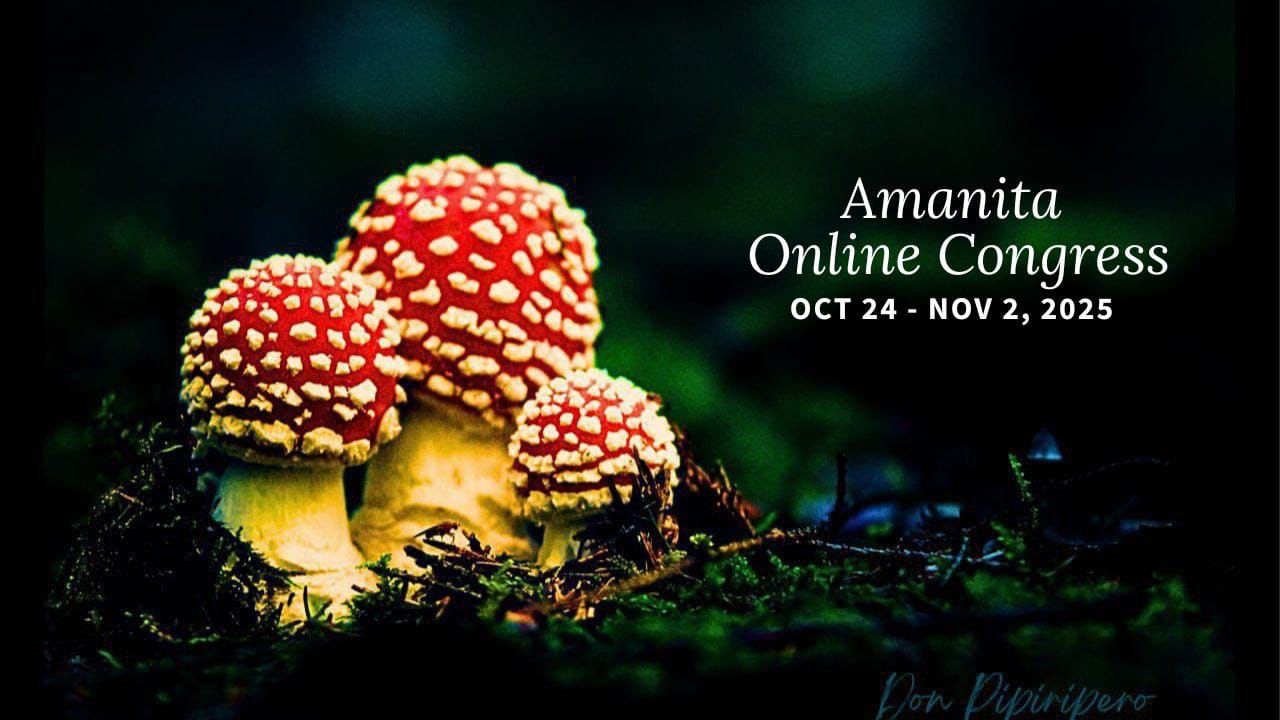 Amanita Online Congress 2025